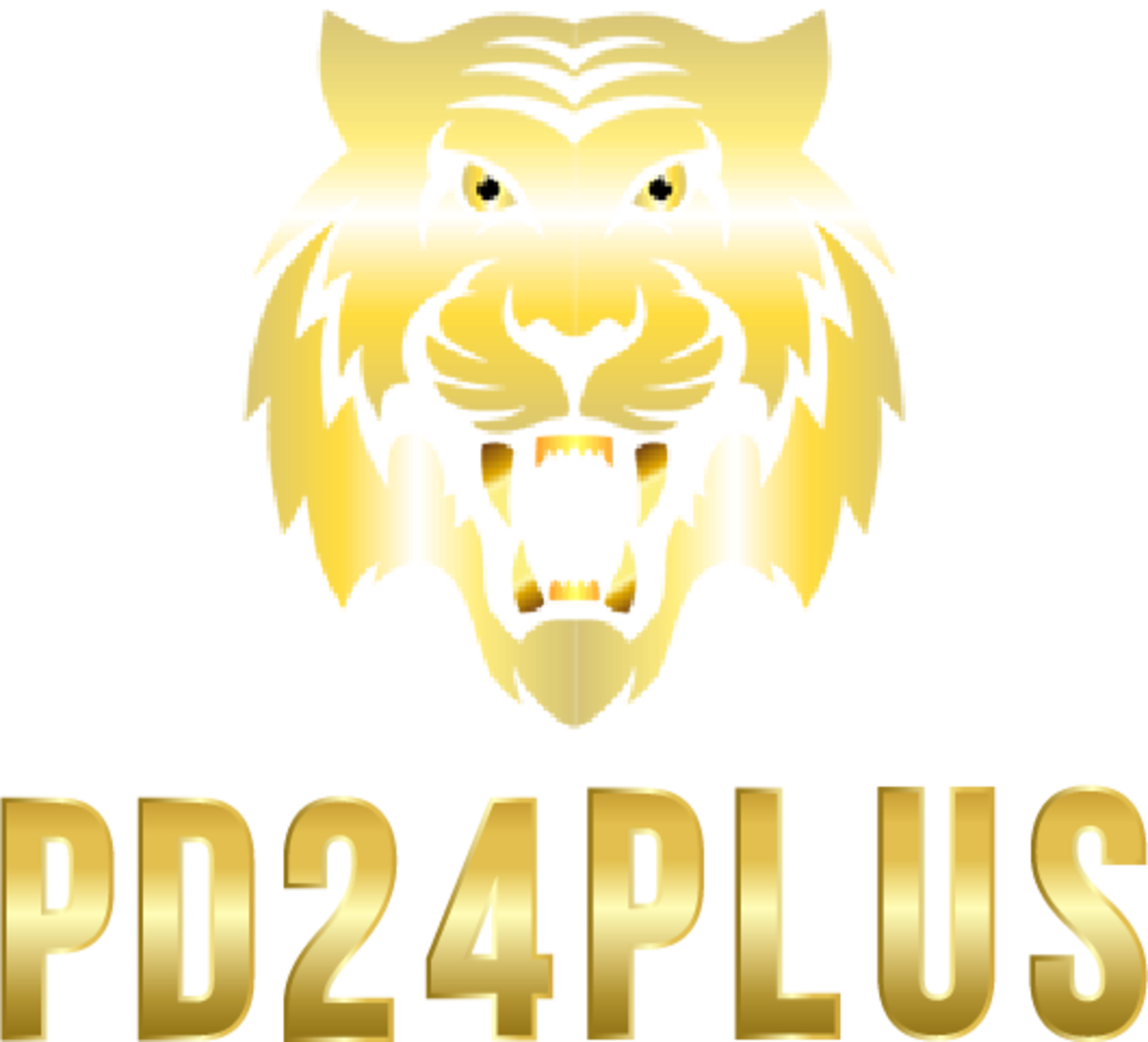 PD24PLUS